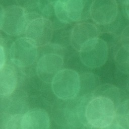 Bokeh-437